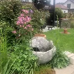 Mit Blick Auf Den Apartment *
