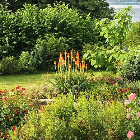 Mit Blick Auf Den Apartment Ohningen
